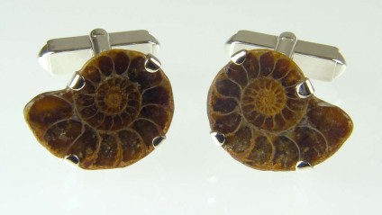 Ammonite cufflinks in silver - Small ammonite sliced in two and made into cufflinks in silver