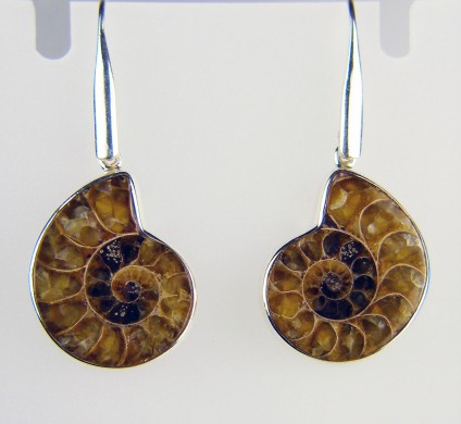 Ammonite Earrings - Small ammonite earrings in silver
